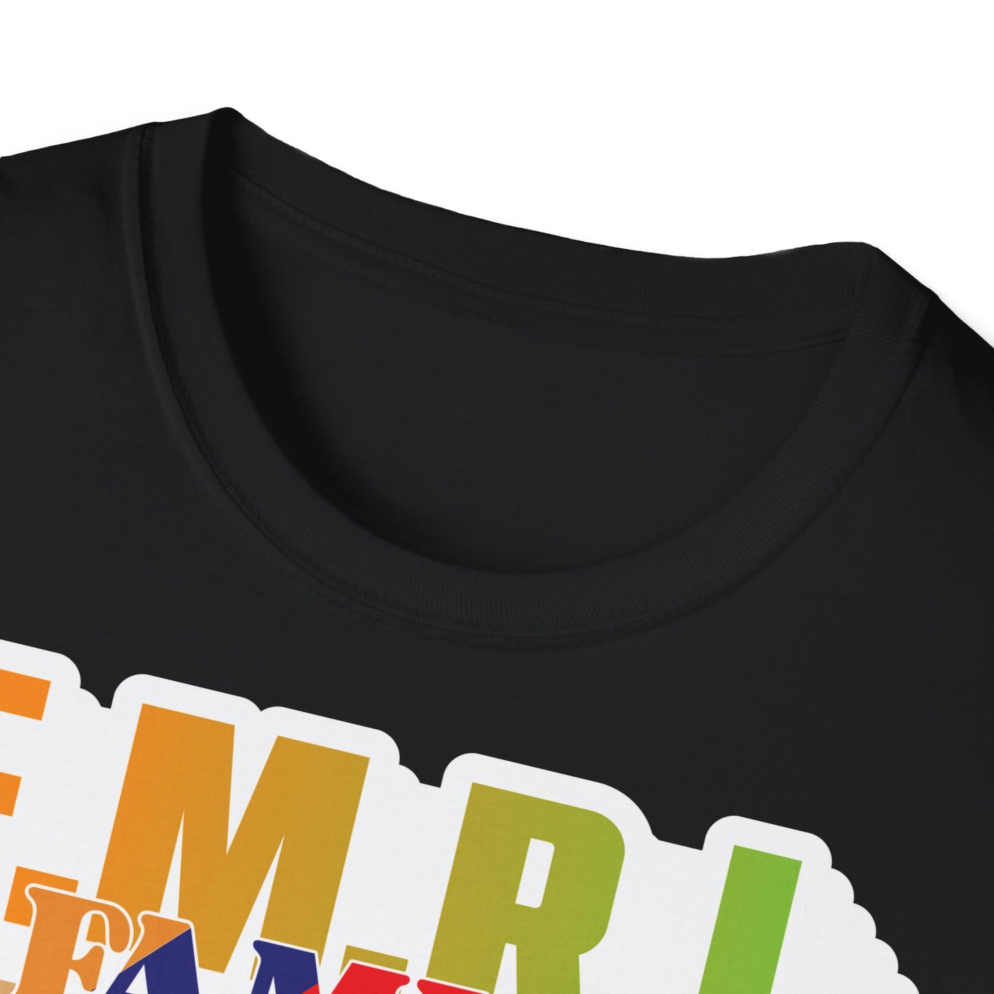 Family Unity Unisex Softstyle T-Shirt, Family Gathering Tee, Matching Family Shirt, Casual Wear, Gift for Families