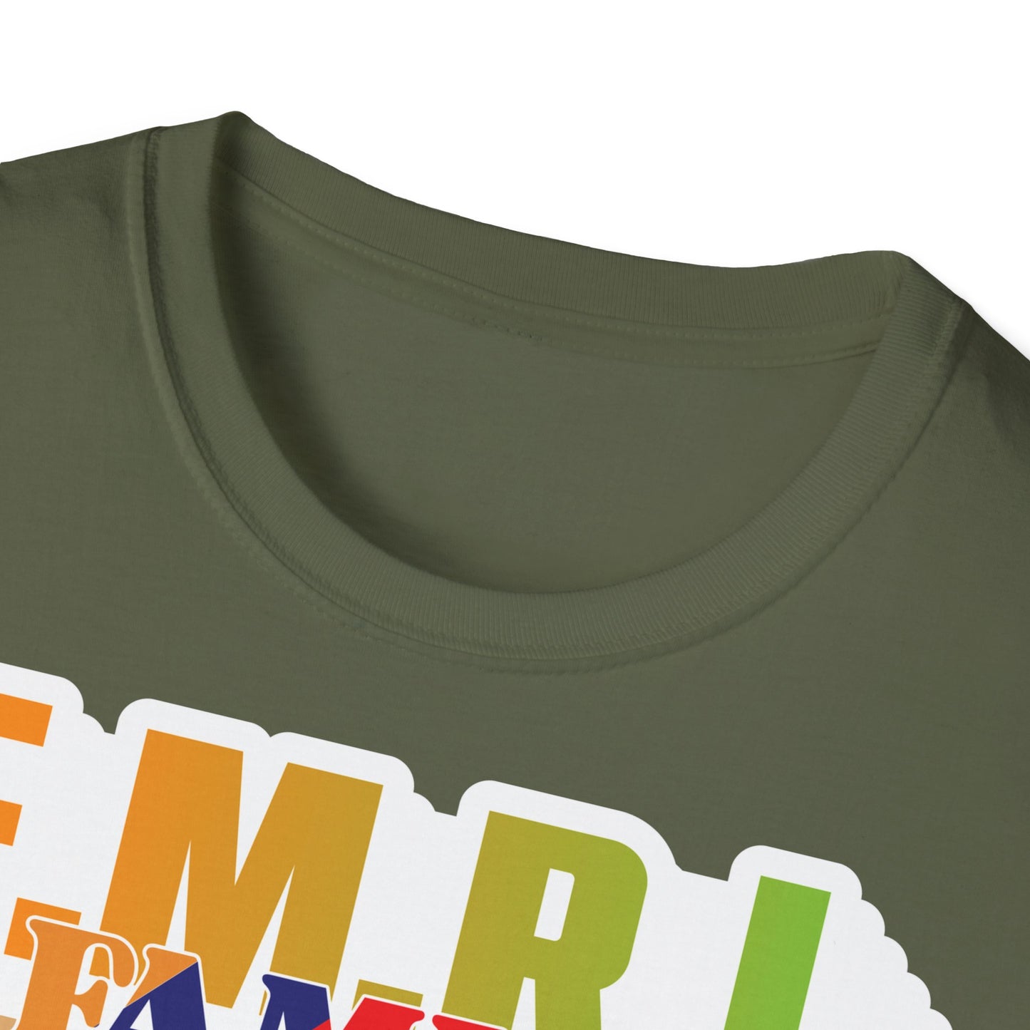 Family Unity Unisex Softstyle T-Shirt, Family Gathering Tee, Matching Family Shirt, Casual Wear, Gift for Families